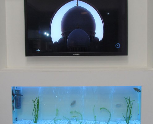 نورپردازی آکواریوم آب شیرین